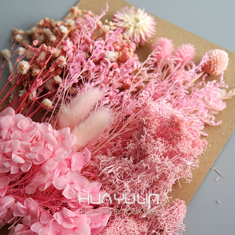 1 แพ็คพืชประดิษฐ์แห้งดอกไม้จริ - Candle Making Products บทวิจารณ์และราคา