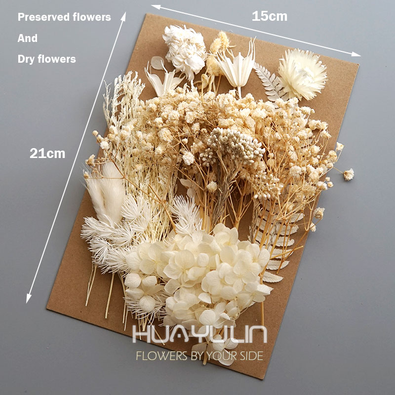 1 แพ็คพืชประดิษฐ์แห้งดอกไม้จริ - Candle Making Products บทวิจารณ์และราคา